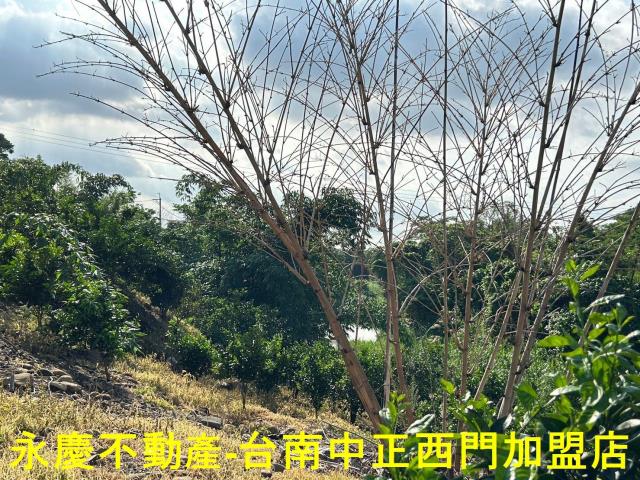台南白河建地-4