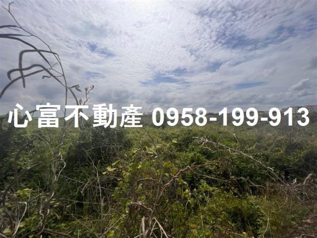 台南麻豆工業地-1