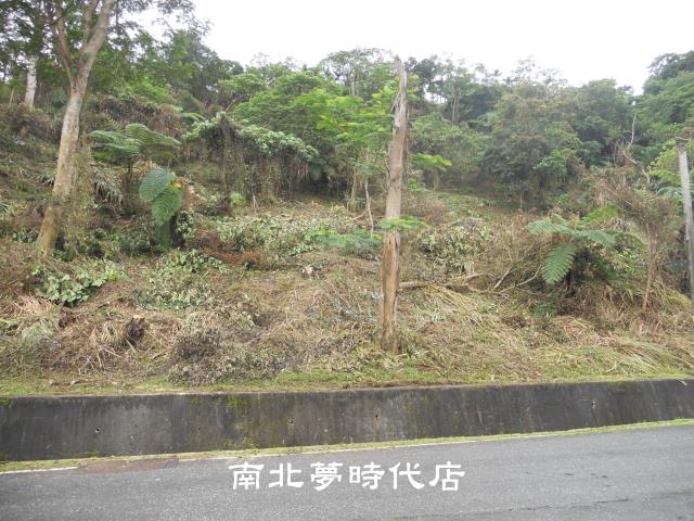 花蓮壽豐農地-11