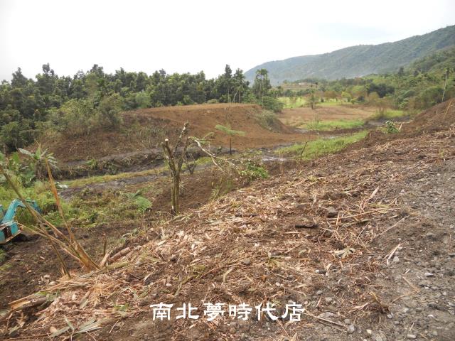 花蓮壽豐農地-7