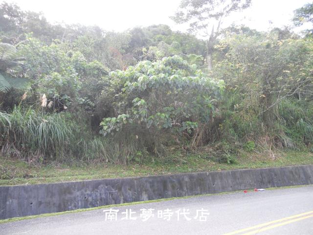 花蓮壽豐農地-8