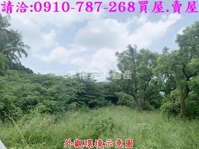 仁德農地-5