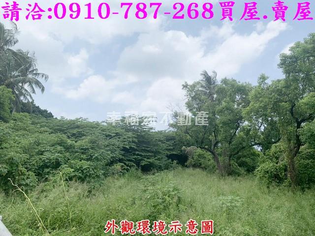 仁德農地-6