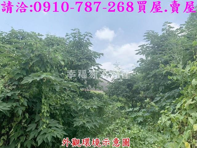 仁德農地-7