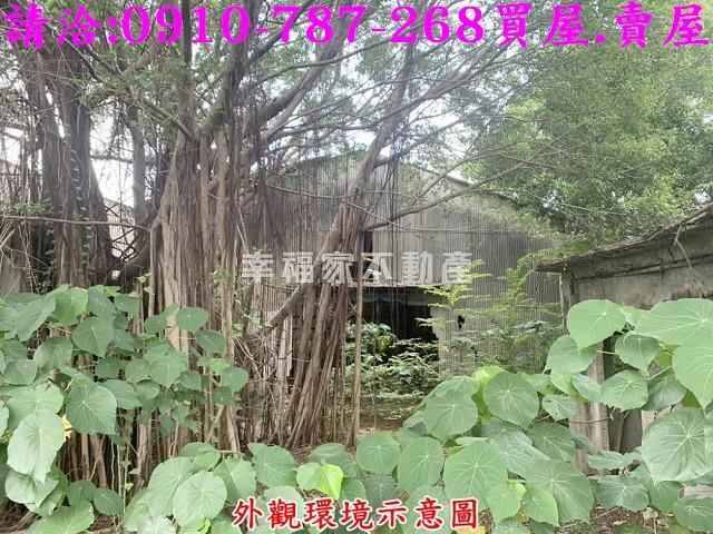 仁德農地-8