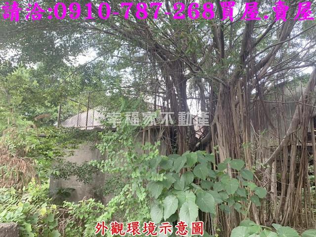 仁德農地-9