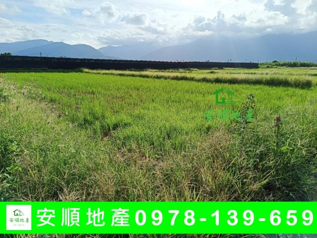 台東市農地-1