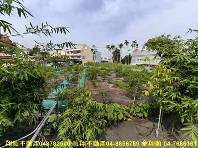彰化大村農地-14