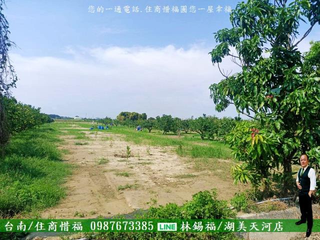 台南佳里農地-5