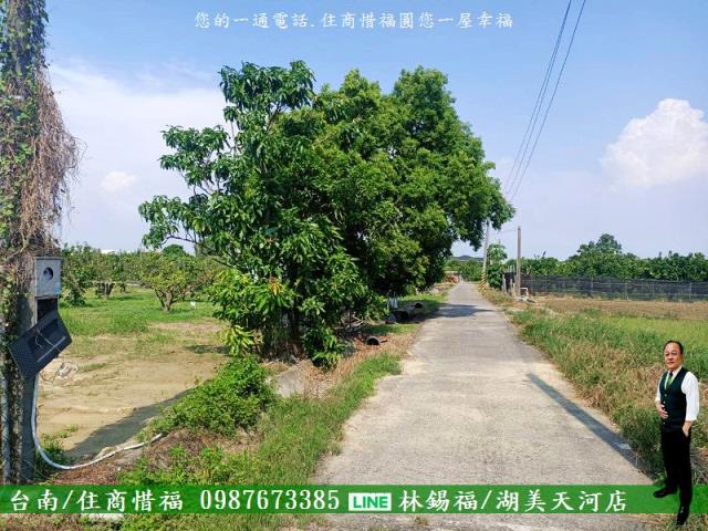 台南佳里農地-6