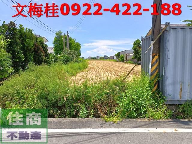 宜蘭壯圍農地-3