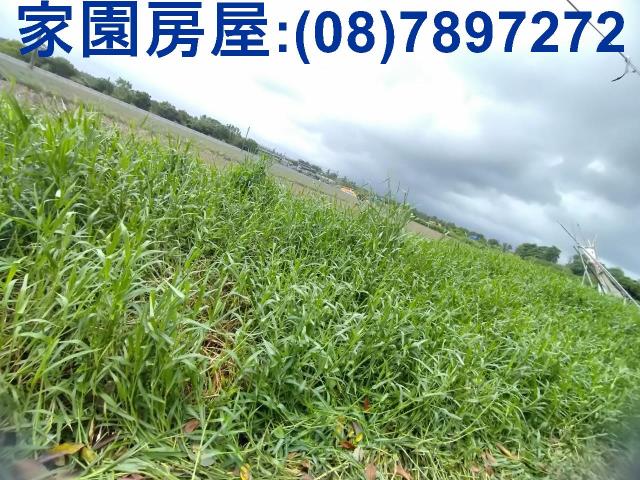 屏東潮州農地-1