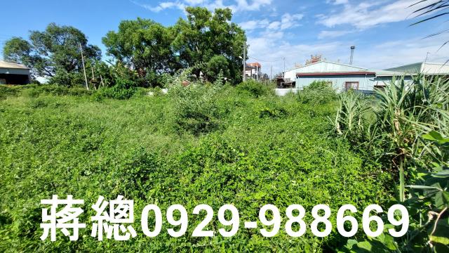 佳里建地-13