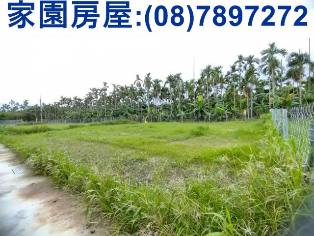 萬巒農地-2