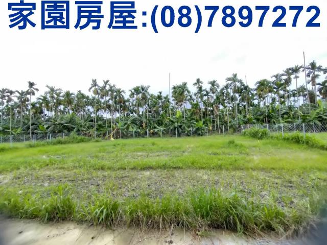 萬巒農地-3