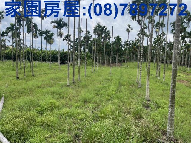 新埤農地-1