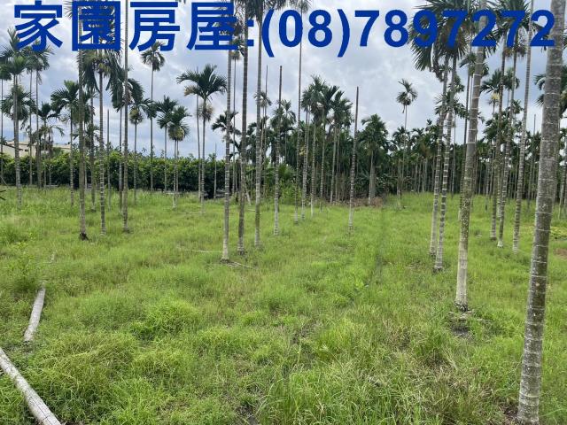 新埤農地-3