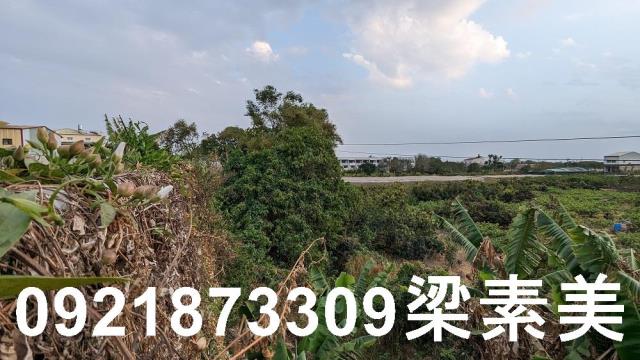 大內建地-13