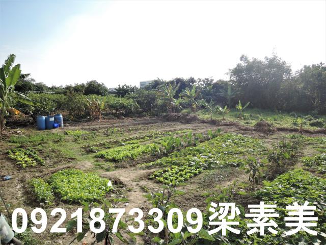 大內建地-2