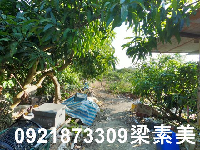 大內建地-4