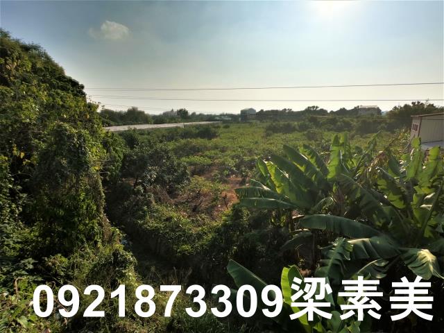大內建地-6
