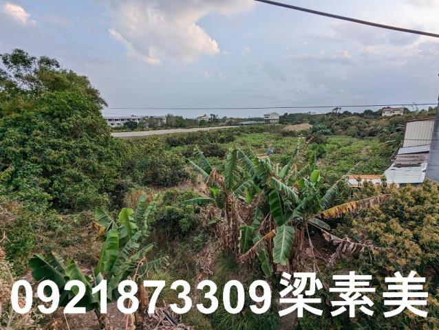 大內建地-8