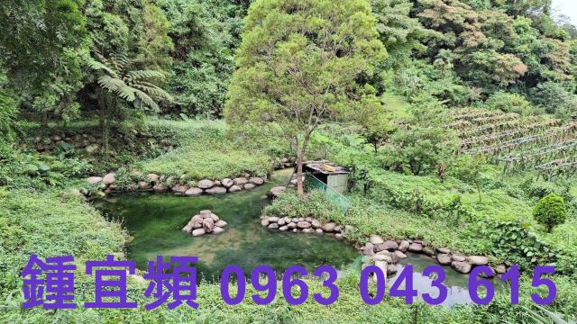 三灣農地-5
