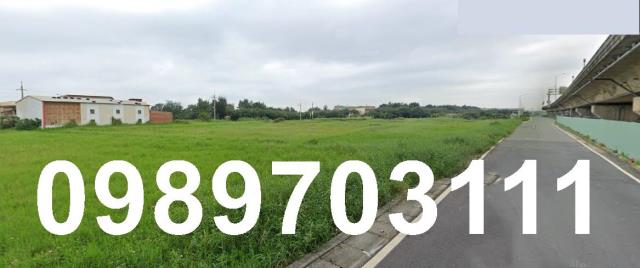 大園農地-3