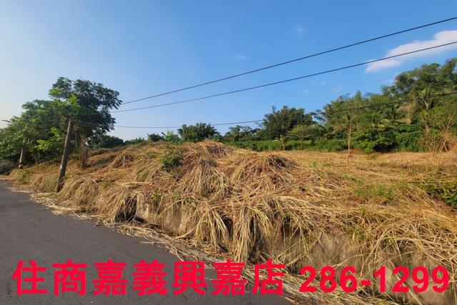 水上農地-2