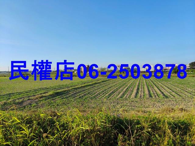 七股農地-7