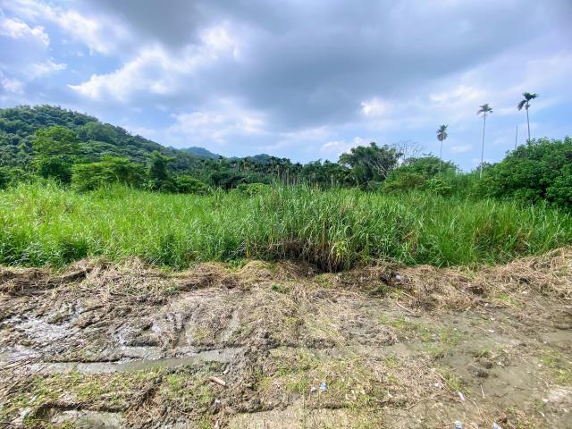 名間農地-7