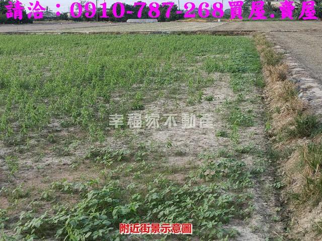 六甲農地-4