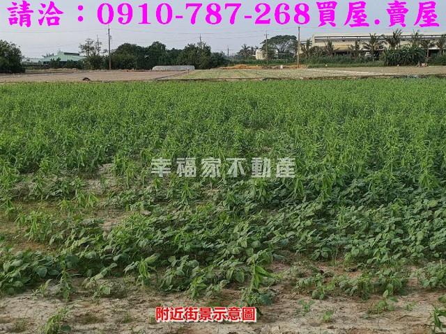 六甲農地-5