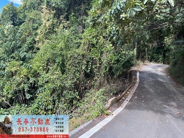 苗栗大湖農地-11