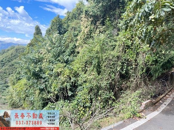 苗栗大湖農地-12