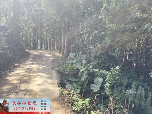 苗栗大湖農地-1