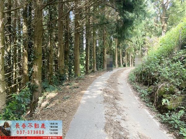 苗栗大湖農地-2