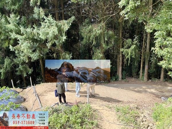 苗栗大湖農地-3