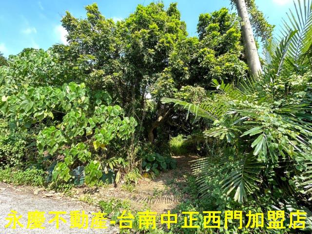 東山農地-12