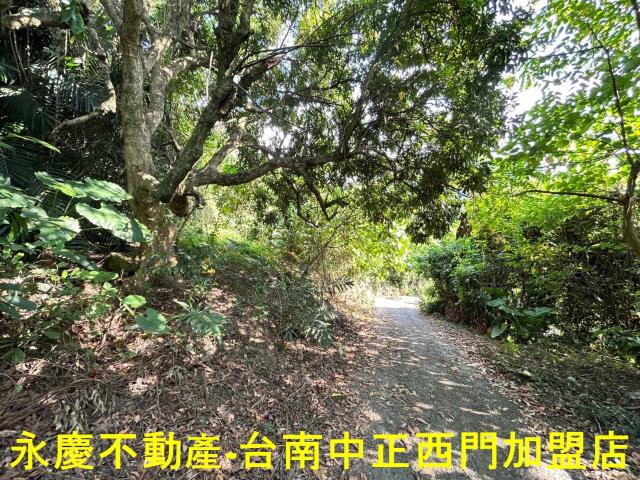 東山農地-13