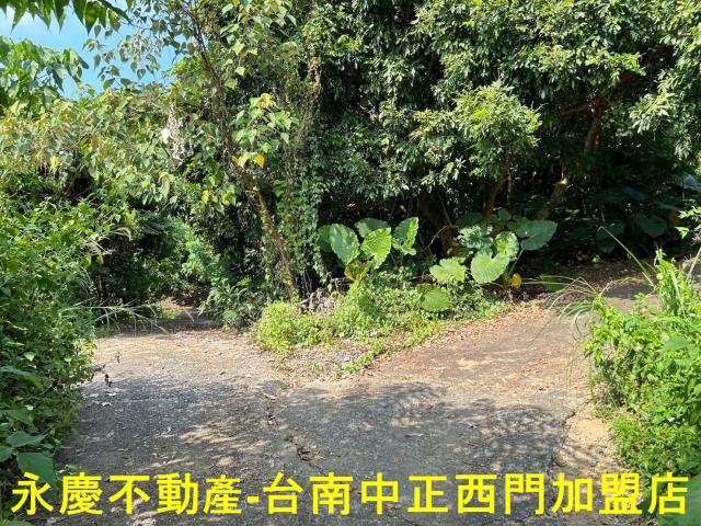 東山農地-9