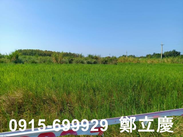 新屋農地-6
