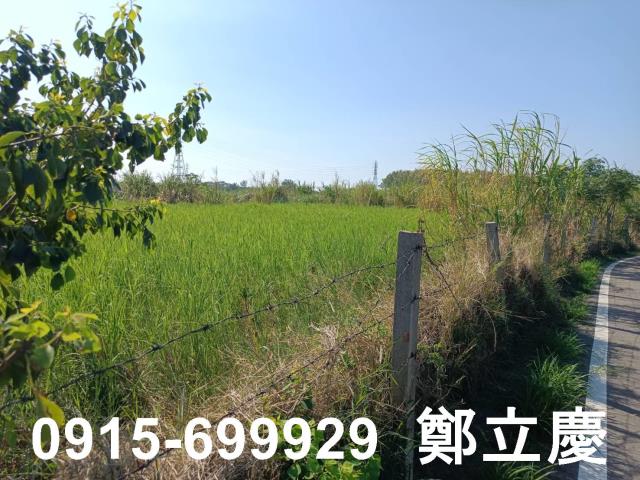 新屋農地-7