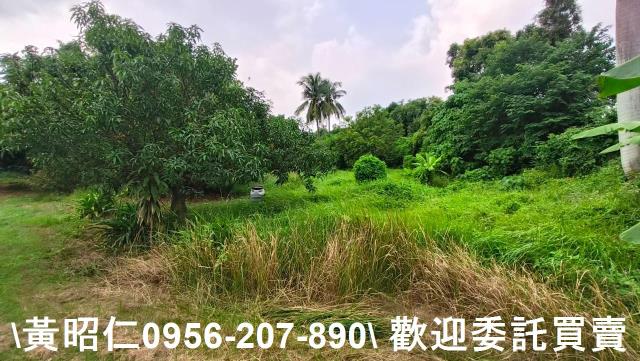 台南農地-4