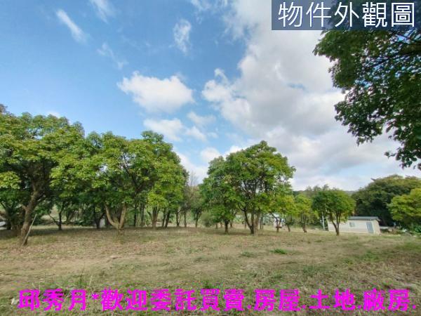 新北三芝農地-10