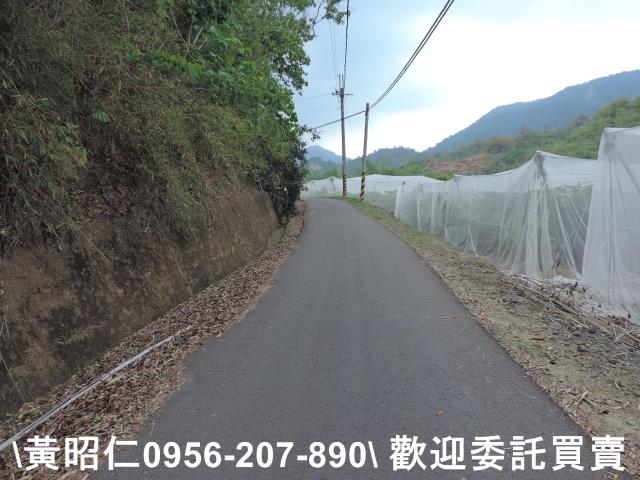 玉井農地-12