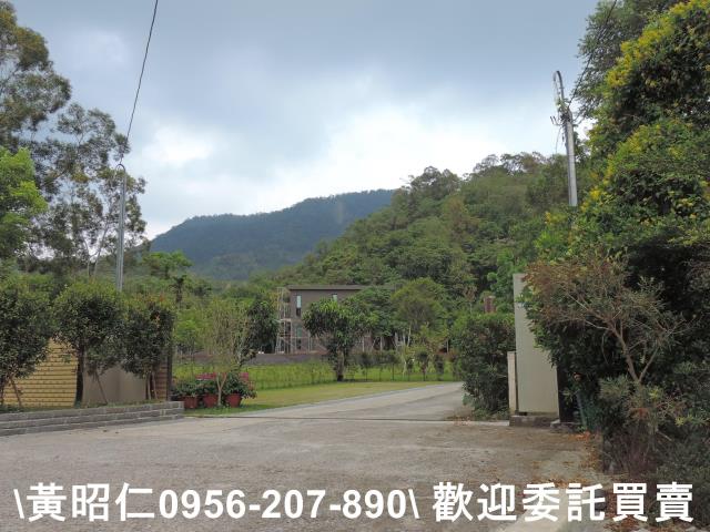 玉井農地-13