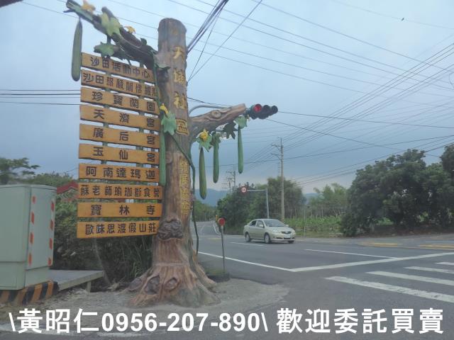 玉井農地-15