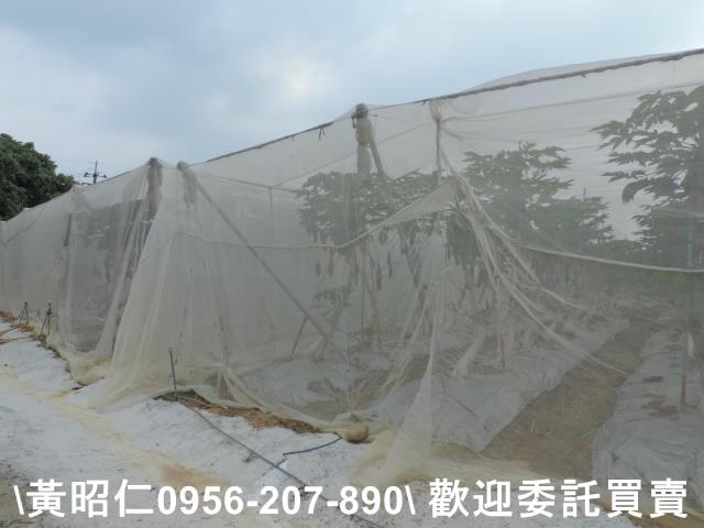 台南農地-7
