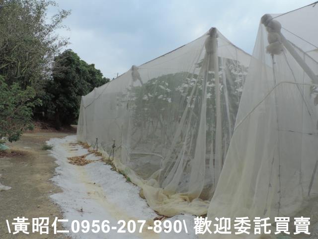 台南農地-10